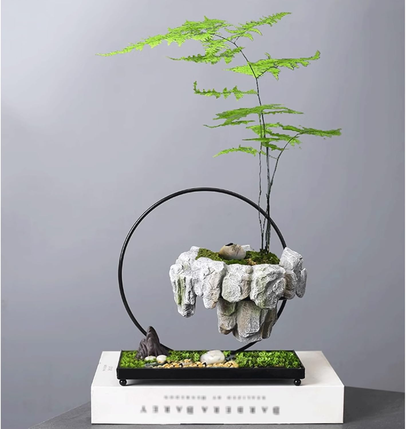 Left Botanical レフトボタニカル バツ 植木鉢 作家鉢 Left botanical