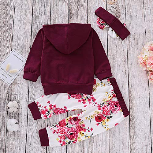 Puseky Toddler Baby Girls Floral Hello Hoodie Sweatshirt+Pant+Headband Tracksuit Outfits Set Wine Red #TOP3