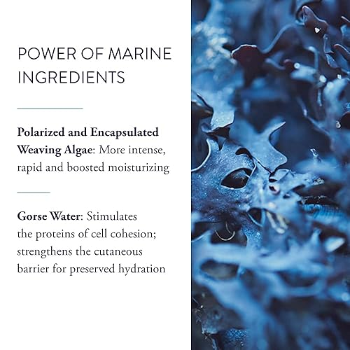 Miniatura 3 de Phytomer Hydrasea - Mascarilla hidratante rehidratante facial  Crema hidratante intensa y eficaz para restaurar la humedad y aliviar la piel seca