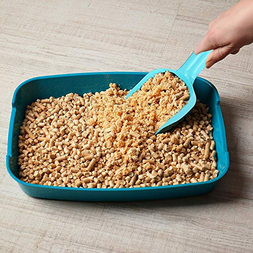 PREMIUM-TOUCH-Plastic-Dog-Cat-Litter-Scooper-Shovel-Cat-Sand-Cleaning-Tool-Perfect-Whole-Scoop-Scoop-Cum-Shovel-Suitable-for-Cats-and-Kittens-Pack-of-1-Multicolor