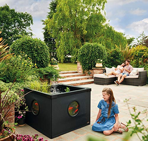 Hozelock Outdoor Aquarium - Terrassenteich 100 x 100 x 70 cm mit Flechtwänden inkl. Fenster, Schwarz