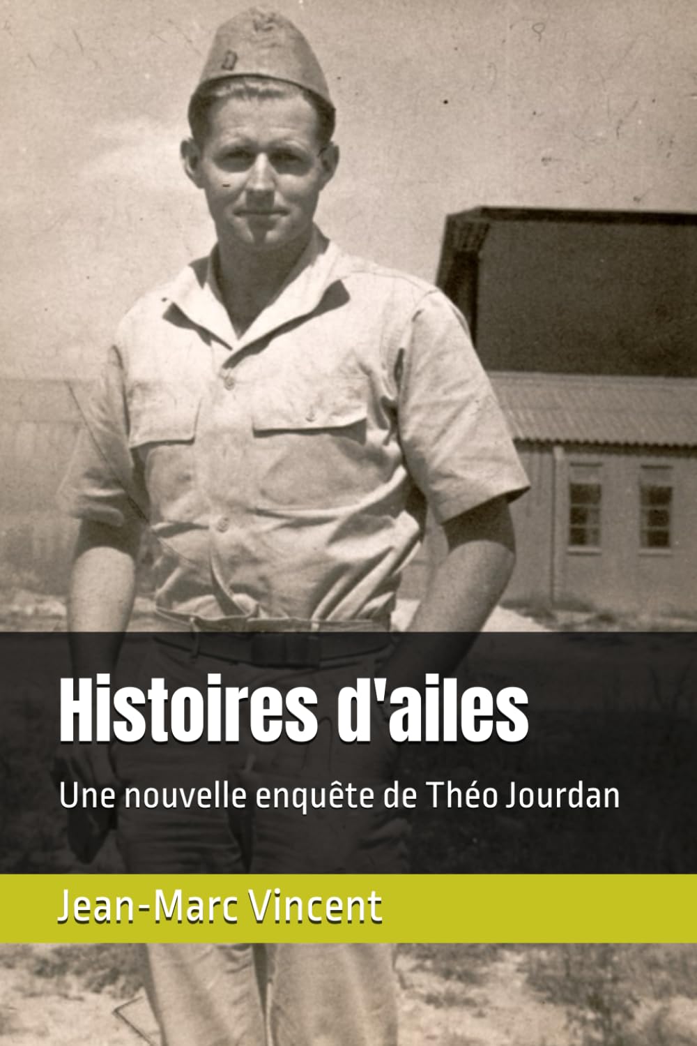 Histoires d'ailes: Une nouvelle enquête de Théo Jourdan