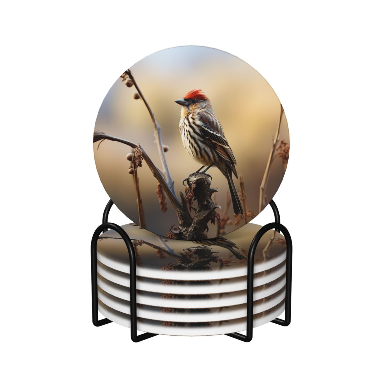 Dessous de verre en céramique lot de 6 ronds de 10,4 cm avec support métal et dos en liège motif oiseau