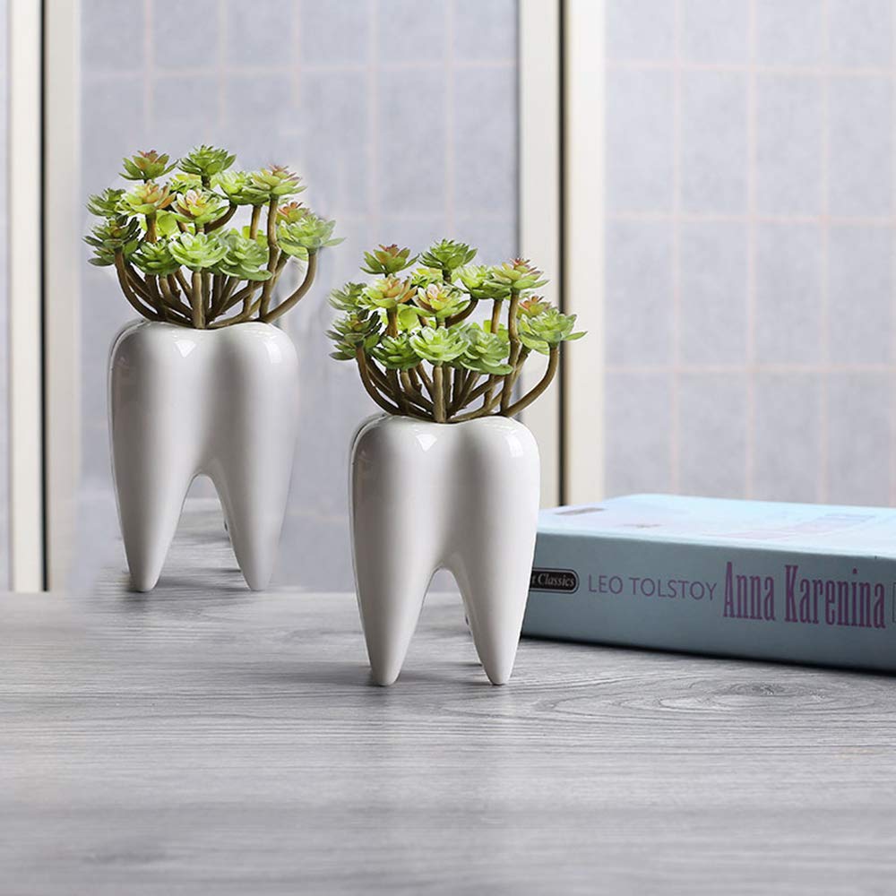 EcosidesSet of 2 Ceramic Tooth Succulent Pots, Cute White Ceramic Planter Pot Cactus Plant Pot, Creative Pen Pencil Holder for Home Office Tabletop Decor, Birthday Wedding Christmas Favors