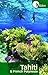 Hidden Tahiti and French Polynesia: Including Moorea, Bora Bora, and the Society, Austral, Gambier, Tuamotu, and Marquesas Islands (Hidden Travel)