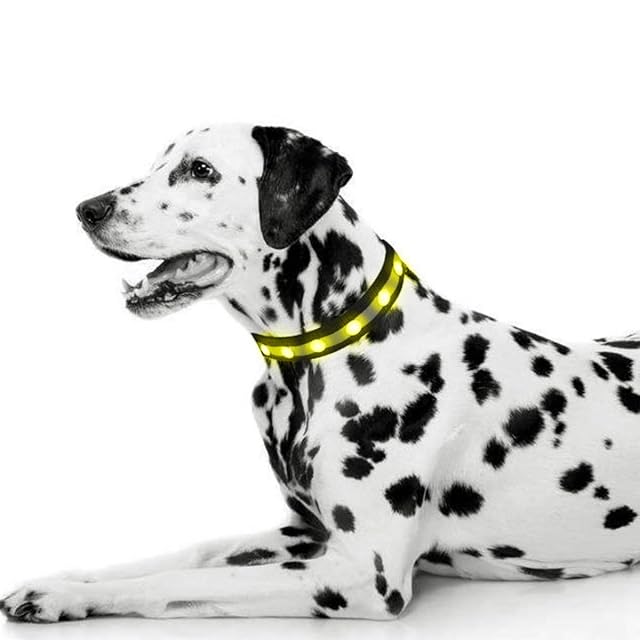 Foto 3 de 6 de QQY Collar de Perro led, Collar de Mascota Impermeable y Luminoso Cargado por USB con 3 Modos de Collar…