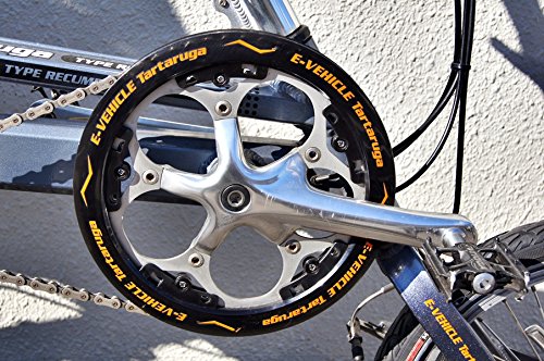 タルタルーガ TYPE Rお譲りします！ Amazon | R)TARTARUGA(タルタルーガ) Type RECUMBENT（タイプ