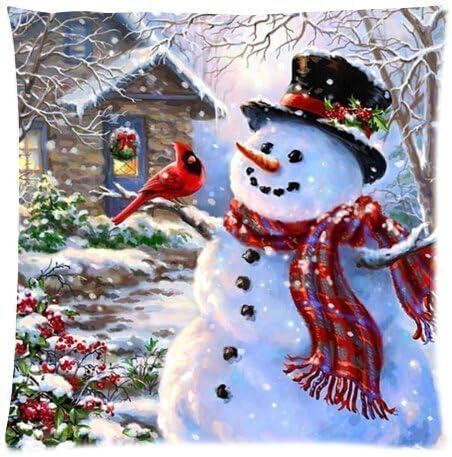FFJPL Funny Winter Holiday Merry Christmax Happy Snowman and Cardinals Zippered Pillow Protector 16x16 inch