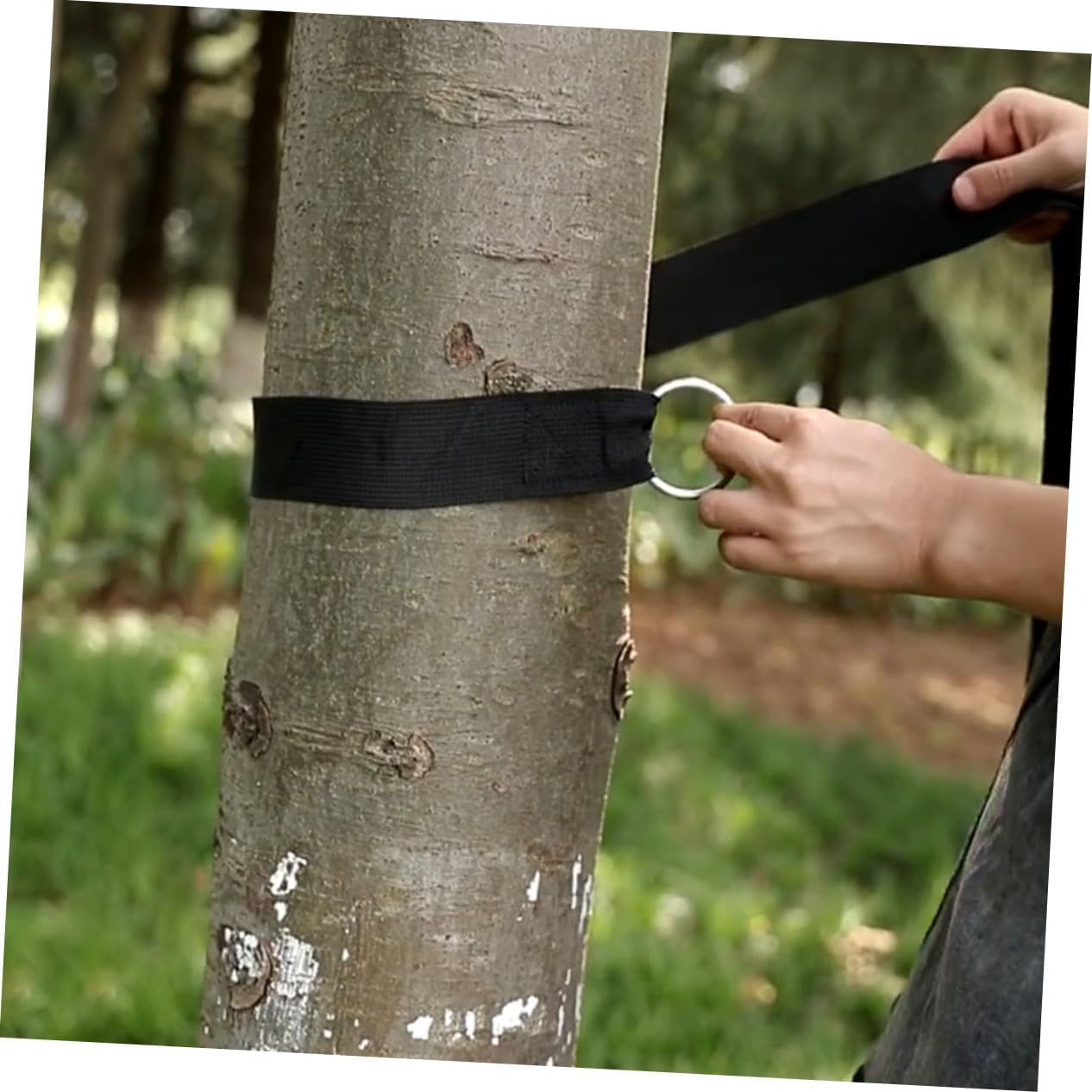 DECHOUS Adjustable Hammock Ropes Set of 6 Heavy Duty Swing Hanging Straps with S-Hooks for Outdoor Use for Camping and Backyard Swings