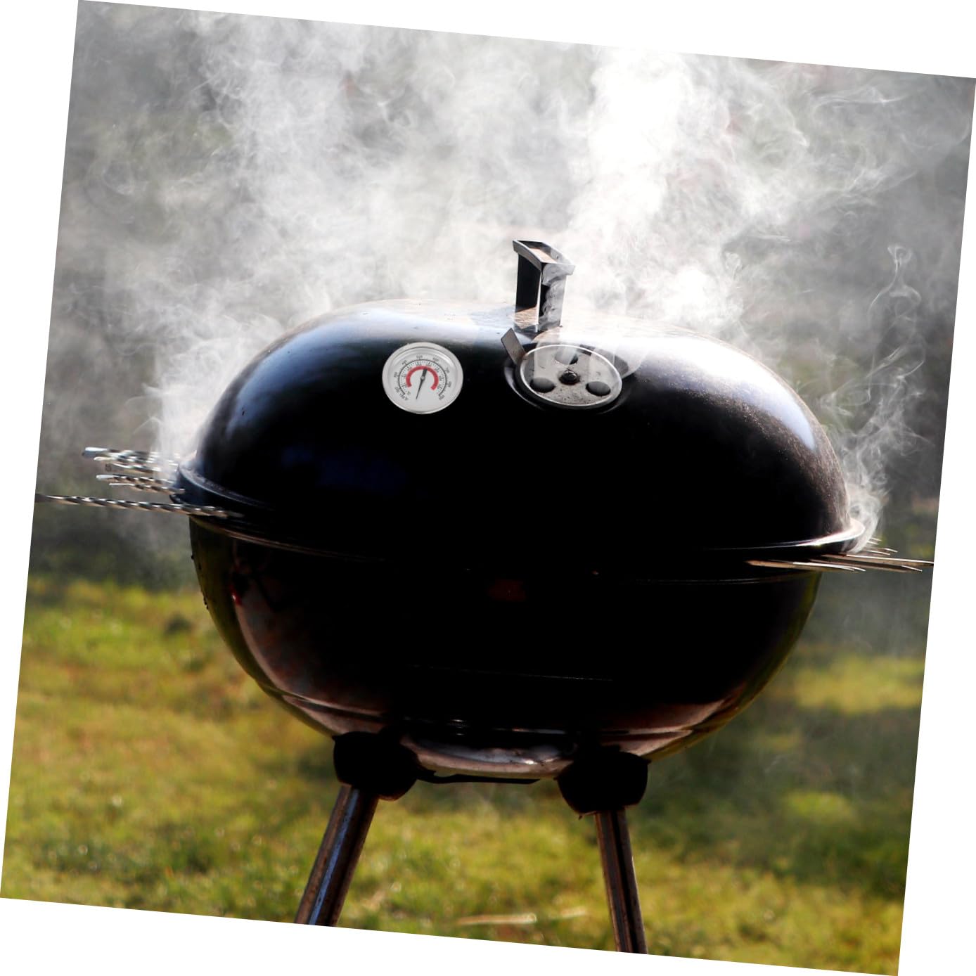BESPORTBLE 5pezzi Termometro Per Bbq e Misuratore Inossidabile Facile Per Grigliate e Precise