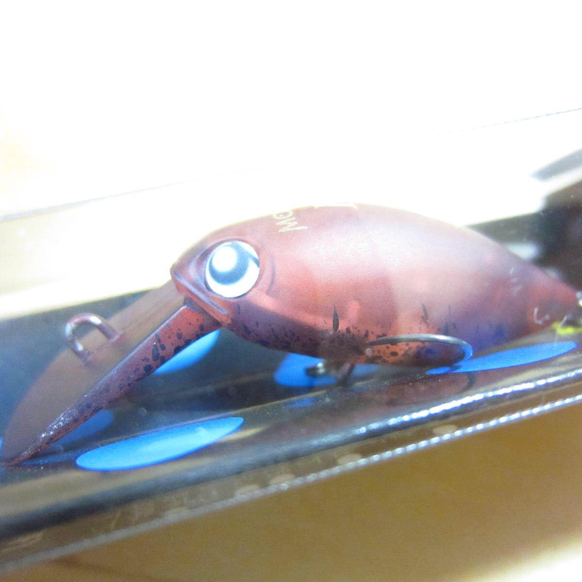 Amazon.co.jp: ロデオクラフト モカ DR-F クロザリガニ エリア