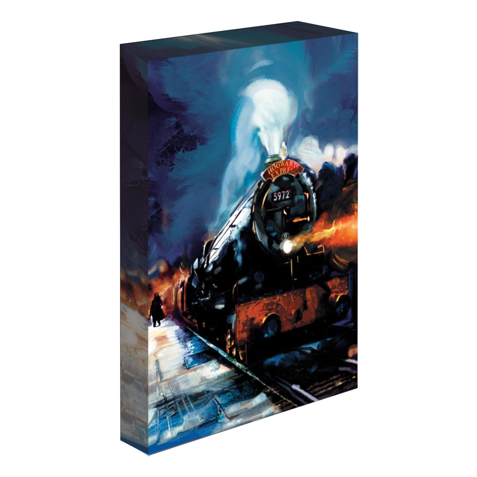 HARRY POTTER Light Up Canvas (Hogwarts Express Design), Large Canvas 30cm x 40cm, HARRY POTTER Gifts for Women and Men, HARRY POTTER Gifts for Girls and Boys - Official Merchandise