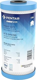 Pentair OMNIFilter CB6 Carbon Water Filter, 10" Whole House Heavy Duty Carbon Block Taste & Odor Replacement Filter Cartridge, 10" x 4.5", 1 Micron, Blue