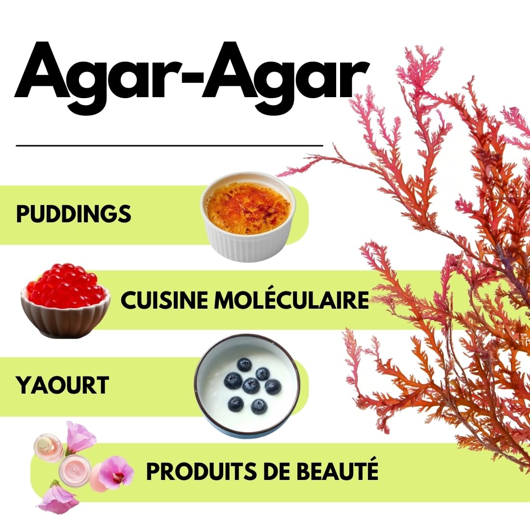 SaporePuro AGAR AGAR en poudre 1 kg – Gélifiant naturel SANS GLUTEN – Idéal pour la cuisine moléculaire, épaississant pour desserts, confitures, flans et glaces