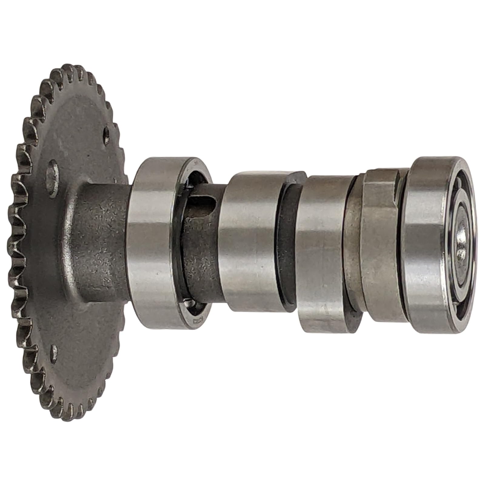 cyama cyama Cymbidium Enzan Forest 'Majolica 2' (Kusuda Shining x Yamba