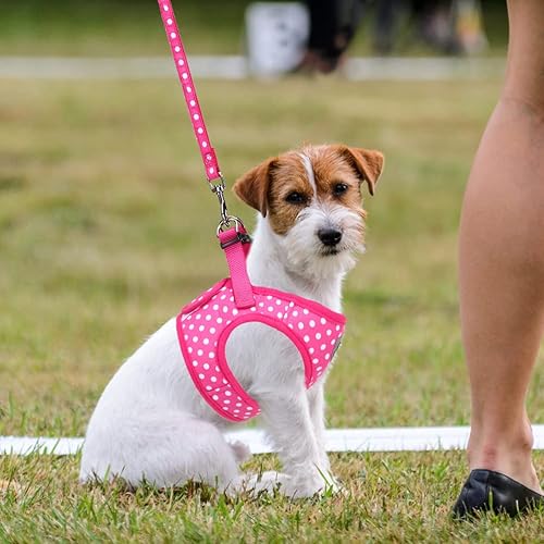 Miniatura 6 de Juego de arnés y correa para perro arnés ajustable para mascotas con diseño reflectante arnés de liberación rápida y a prueba de escape con malla