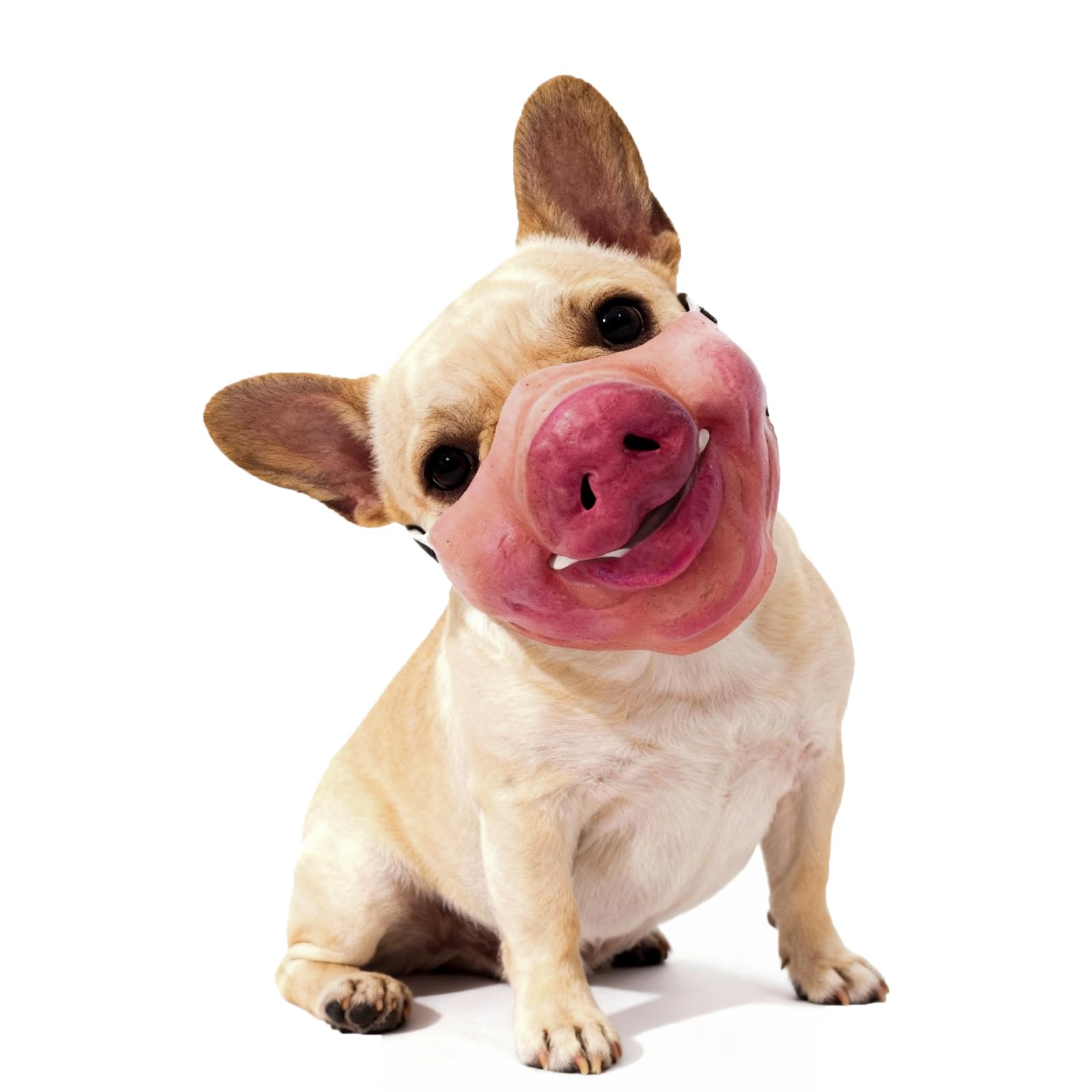 Photo 1 of MATIHAY Dog Mask - Pig Nose Costume for Medium Dogs