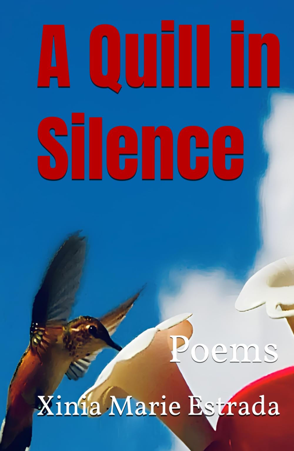 A Quill in Silence: Poems