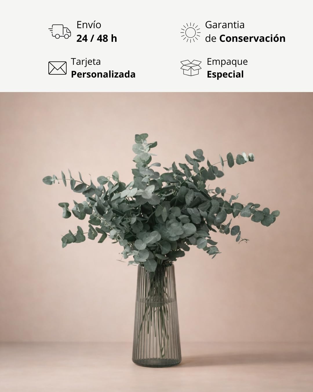 FLORES SOLIDARIAS - Flores Preservadas - Ramos de Flores Preservadas Naturales - Eucalipto Preservado - Regalo día de la Madre - Regalo Aniversario, Regalos San Valentín - Envio 24 h