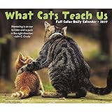 What Cats Teach Us 2017 Box Calendar