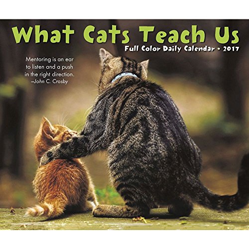 What Cats Teach Us 2017 Box Calendar