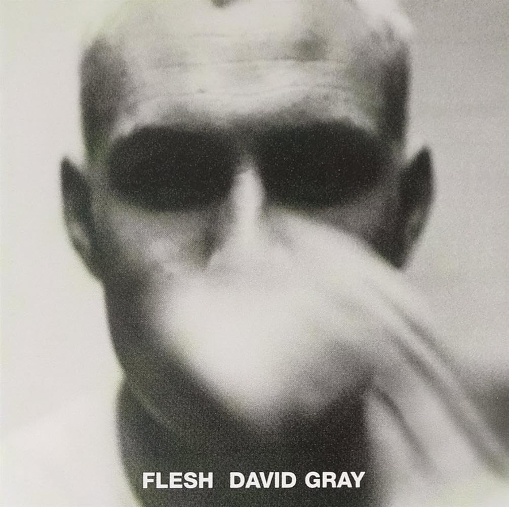 Flesh [Audio CD] David Gray; David Julian Gray; David Nolte; Clune; Simon Edwards; Andy Metcalfe; Seamus Beaghen; Roy Dodds; Roy Dods and Neill MacColl