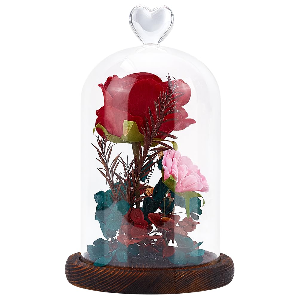 PH PandaHall Cloche A Cupola con Display In Vetro Da 12 pezzo, Campana di Vetro di 3 misura con Base In Sughero Bottiglie di Vetro Cupola Barattoli Decorativi Vetrina per Conservazione Dei