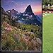 Scenic Summer Window Film Privacy Window Film,Wild Floral Meadow in Alpine Mountains Sunset Nature Photo Window Decal for Home UV Blocking Privacy,Dark Ceil Blue and Multicolor 24