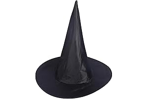 Officially Licensed Wizard of Oz Adult Wicked Witch Hat