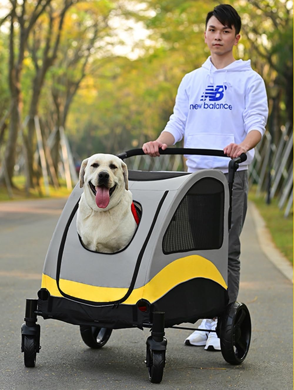 Passeggino per Cani Gatti Borsa Da Trasporto per Cani Pieghevole Carico 60 Kg Carrello Con 5 Finestre A Rete Animali Domestici per Cani Di Medi E Grandi Che Viaggiano