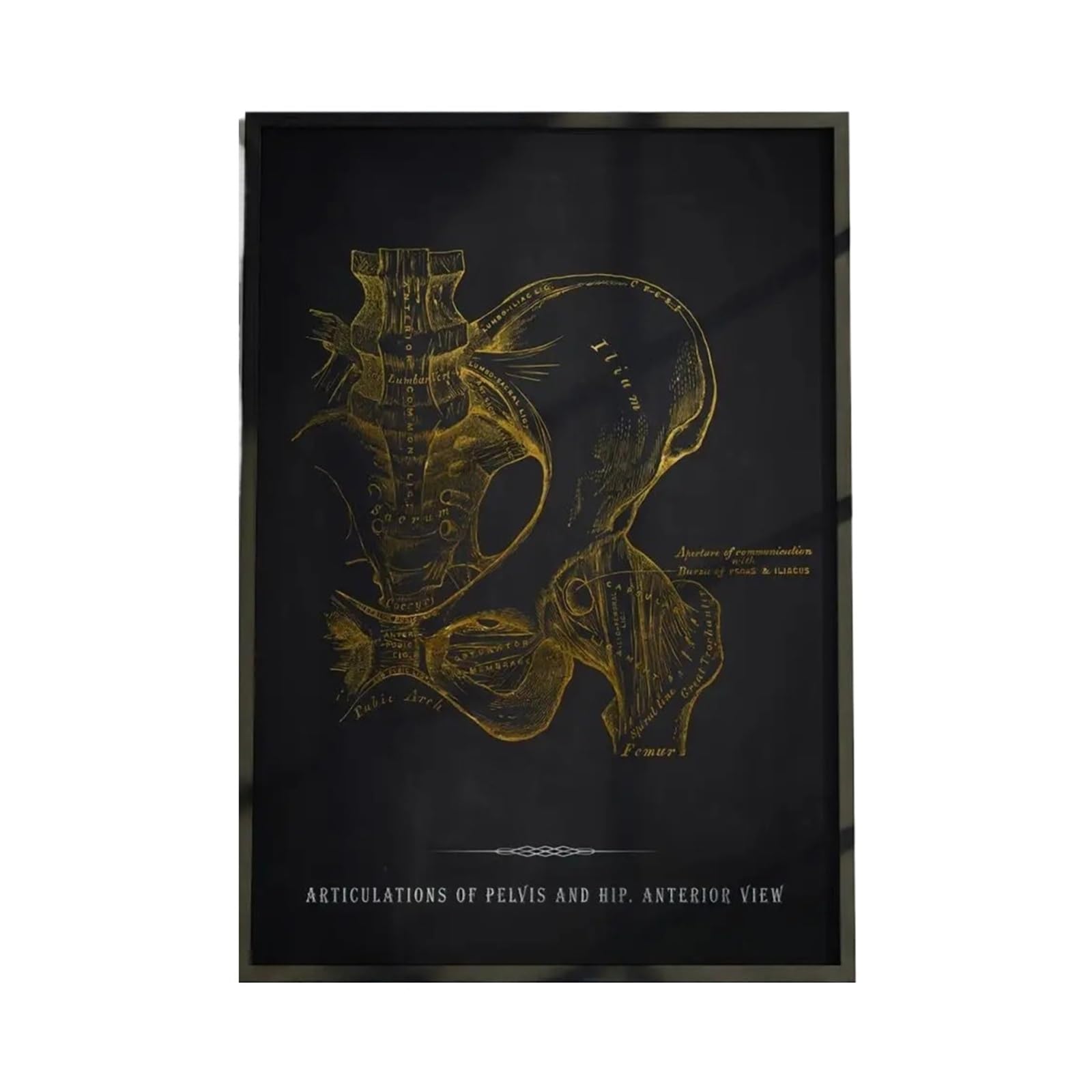 1 Stück Anatomie-Diagramm des menschlichen Körpers Poster, wasserdichte Wandkunst, selbstklebendes Dekor
