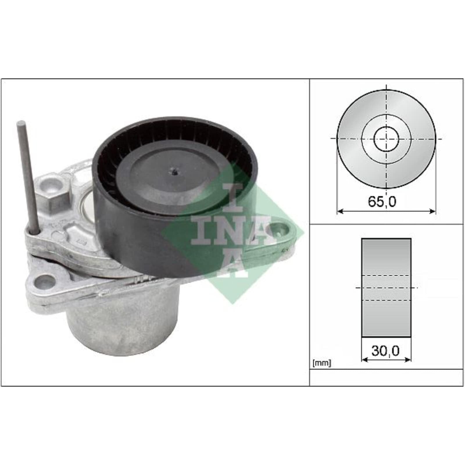 INA Kit Cinghie Poly-V 529 0246 10 1685mm Compatibilità con RENAULT Megane 3 Hatchback BZ0/1 Scénic 3 JZ0/1 Trafic 3 Van FG Megane 4 Hatchback B9A/M/N, NISSAN Qashqai/Qashqai +2 I J10, NJ10