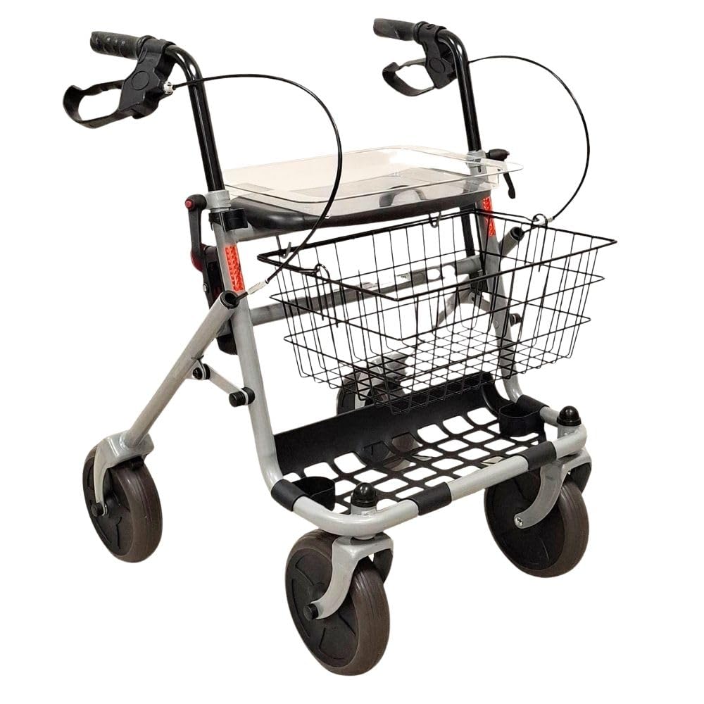 TERMIGEA Deambulatore, Rollator Pieghevole Per Anziani, Disabili E Malati, Sedile In Plastica Con Vassoio, Cestino Portaoggetti, Porta Bastone