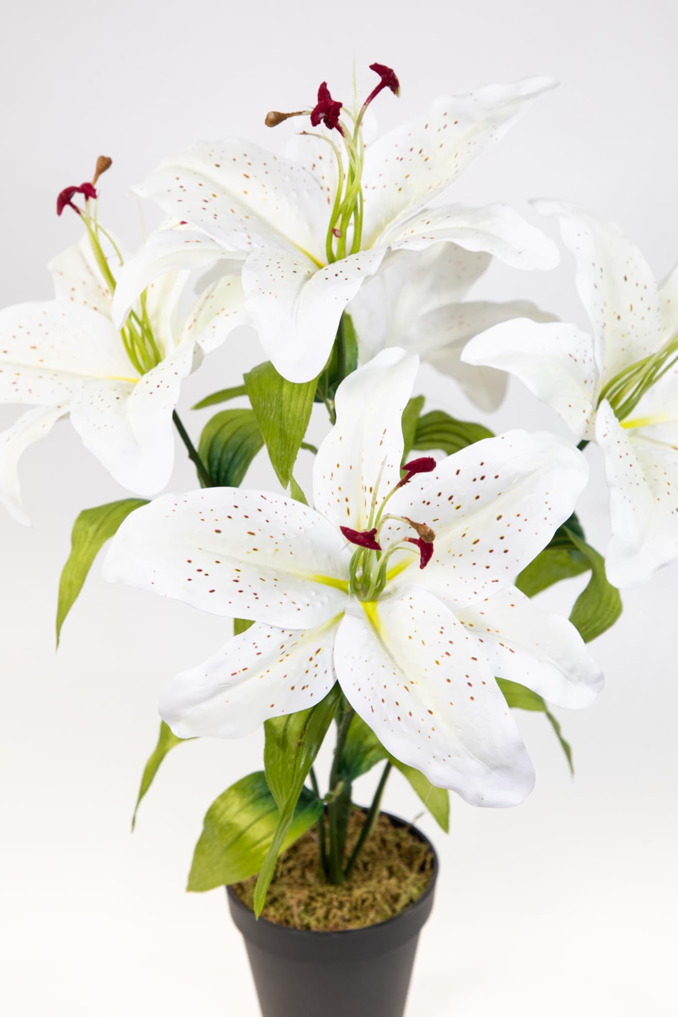 Amazon.de: Seidenblumen Ro Lilie Real Touch 50cm im Topf DP Kunstblumen  Kunstpflanzen knstliche Blumen Pflanze (Wei)