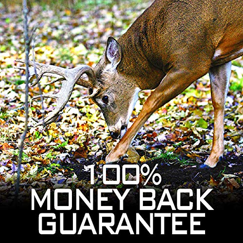 Nationwide Scents Doe Estrus Buck Attractant Whitetail Lure Hunting Scent Urine | Make Deer Scrape (2 oz Bottle)
