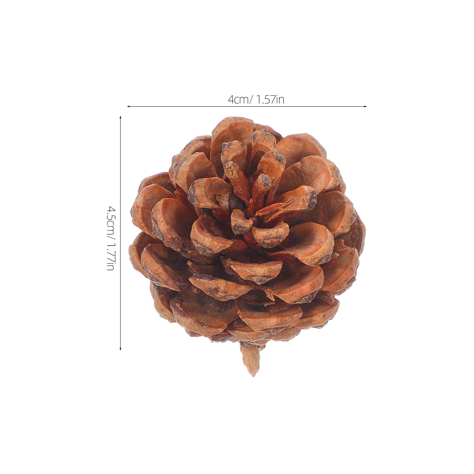 130 Piñas Naturales Pequeñas de Pino 3-4 CM para Manualidades Navideñas Rellenar Jarrones y Centros de Mesa de Otoño y Acción de Gracias Decoración Rústica para Temporada