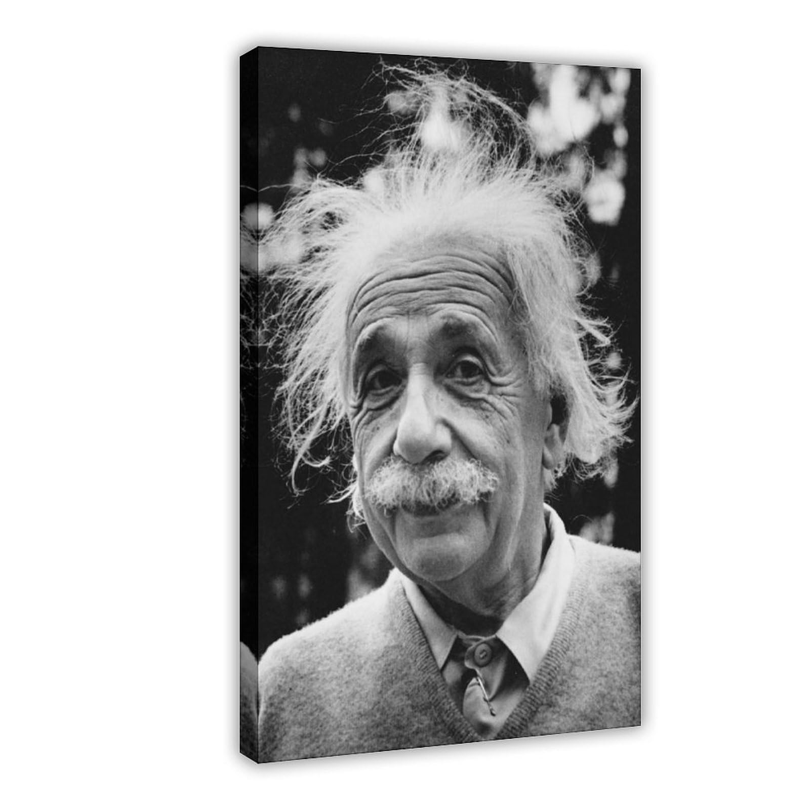 Nacnic Poster Di Albert Einstein In Stile Ritratto A Colori Cartoon  Illustrazioni Di Personaggi Famosi Nella, image size:1600x1600