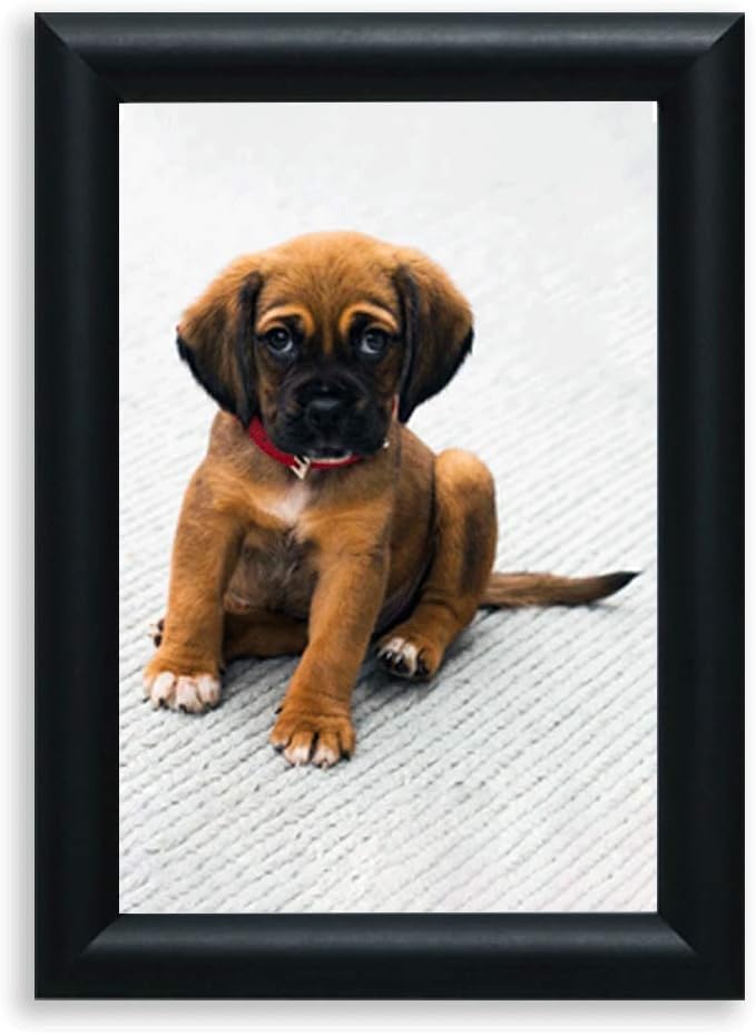 Artmaxx A5 Black Photo Frames, Set of 2, Quality Wooden Frame Classic slim Design