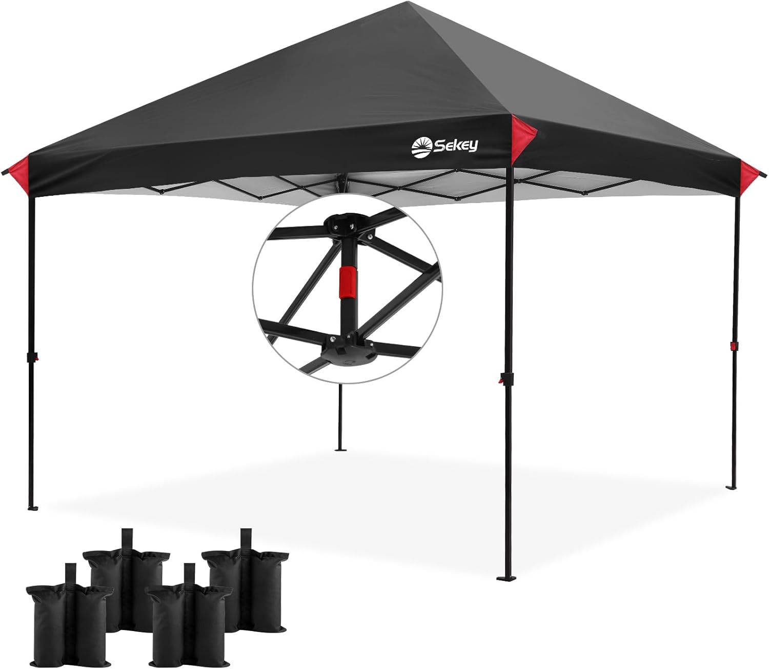 Canopy with One Push Setup