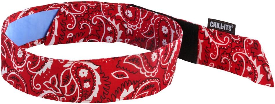 Ergodyne Chill Its 6705CT Cooling Bandana, Lined with Evaporative PVA Material for Fast Cooling Relief, Quick and Secure Fit - Apparel - 