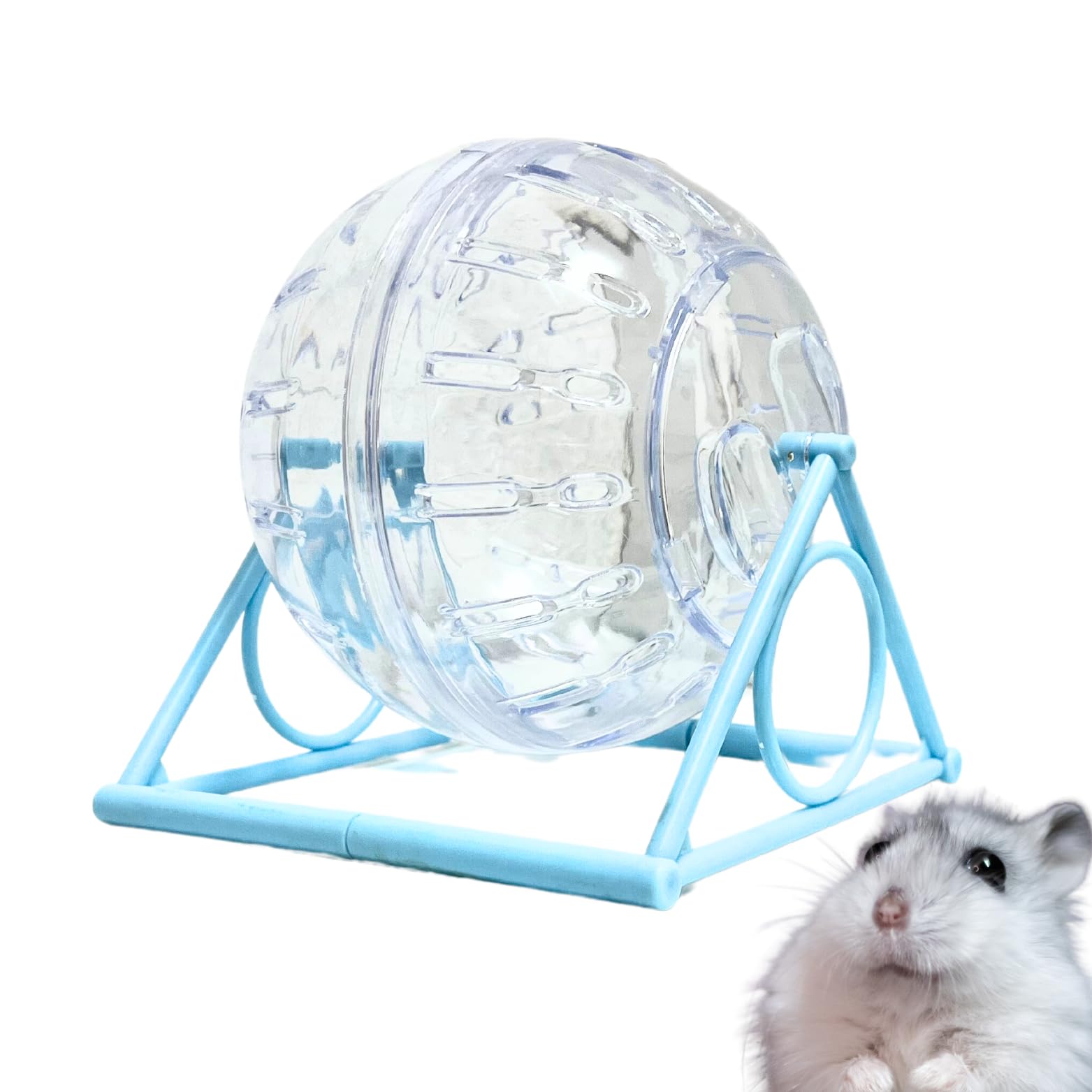 Bola Transparente para Hamster De 14 cm + Soporte