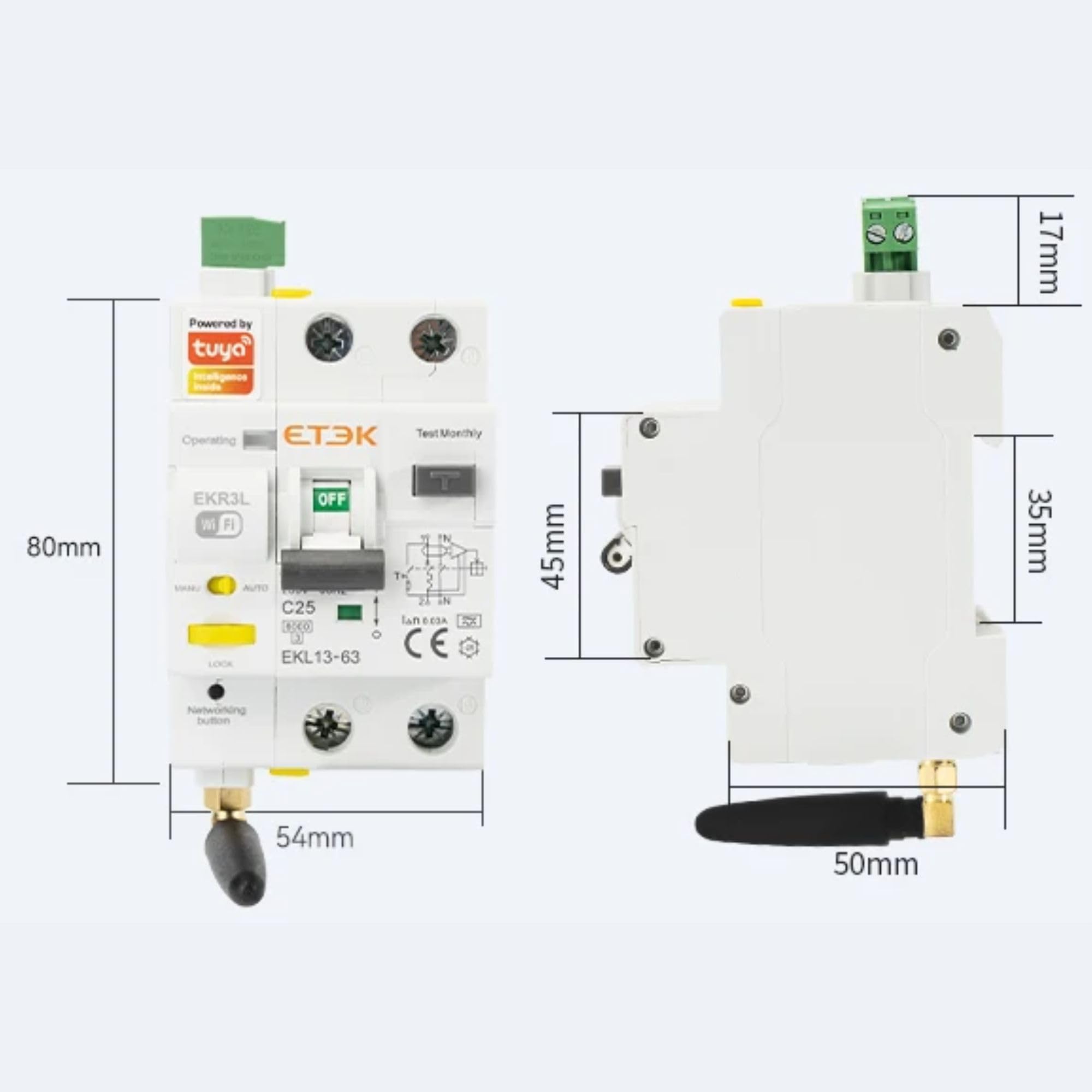 Differenziale con Riarmo Automatico tramite WIFI - 25A 30mA - RCBO con Protezione da Sovracorrente - Superimmunizzato Classe A - Controllo Remoto tramite App Tuya