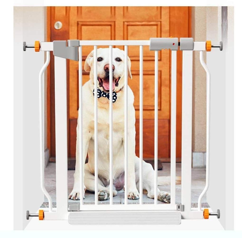 活気づく 成功 埋める 犬 柵 屋内 Speed Dating Immobilier Com