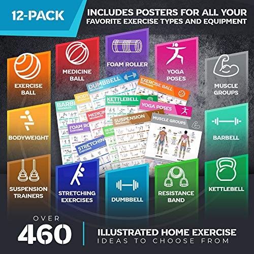 12-Pack Laminated Large Workout Poster Set - Perfect Workout Posters For Home Gym - Exercise Charts Incl. Dumbbell, Yoga Poses, Resistance Band, Stretching, Kettlebell & More Fitness Gym Posters
