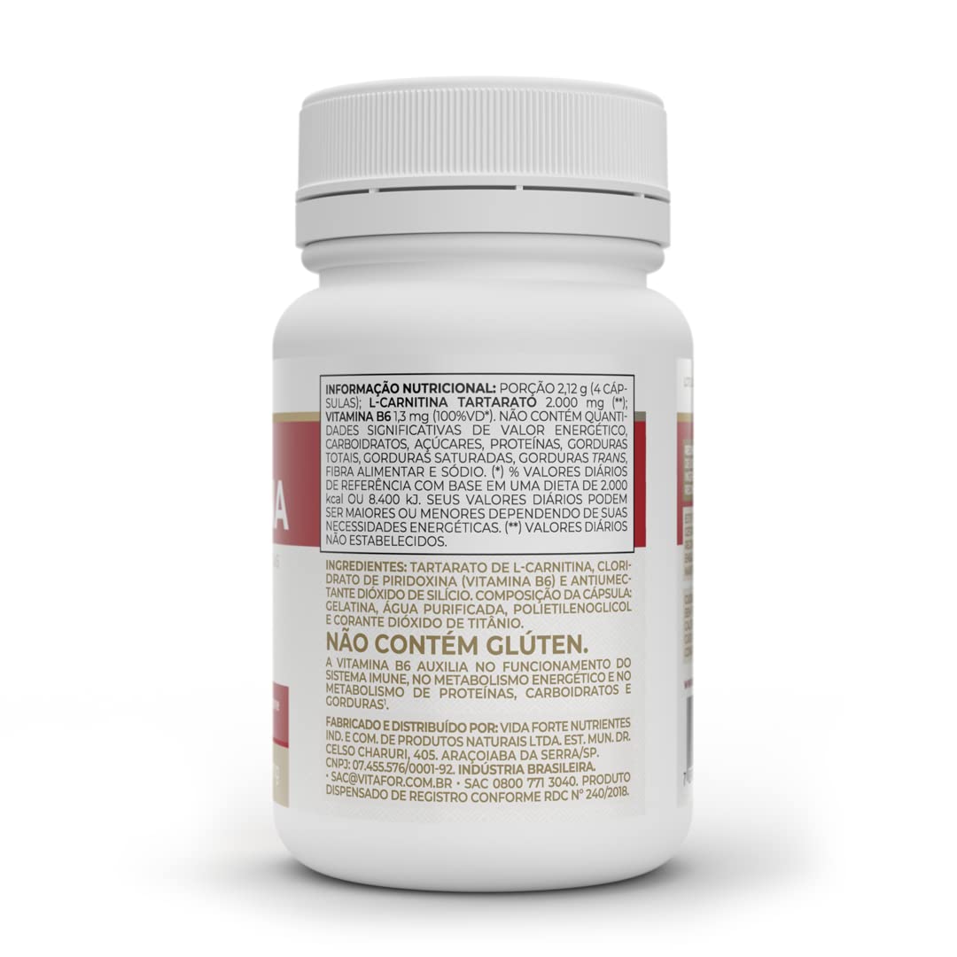 l carnitina vitafor L-Carnitina - 60 Cápsulas, Vitafor, Branco, 60 Cápsulas