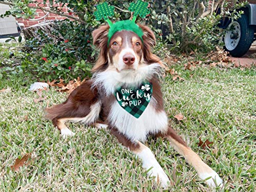 50% Off St. Patrick's Day Dog Costume with Headband & Bandana