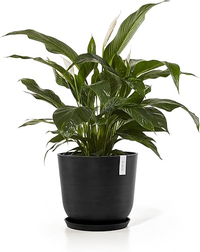 Miniatura 7 de Ecopots Oslo Maceta moderna de plástico reciclado para interiores y exteriores, color gris oscuro, 17.5 pulgadas