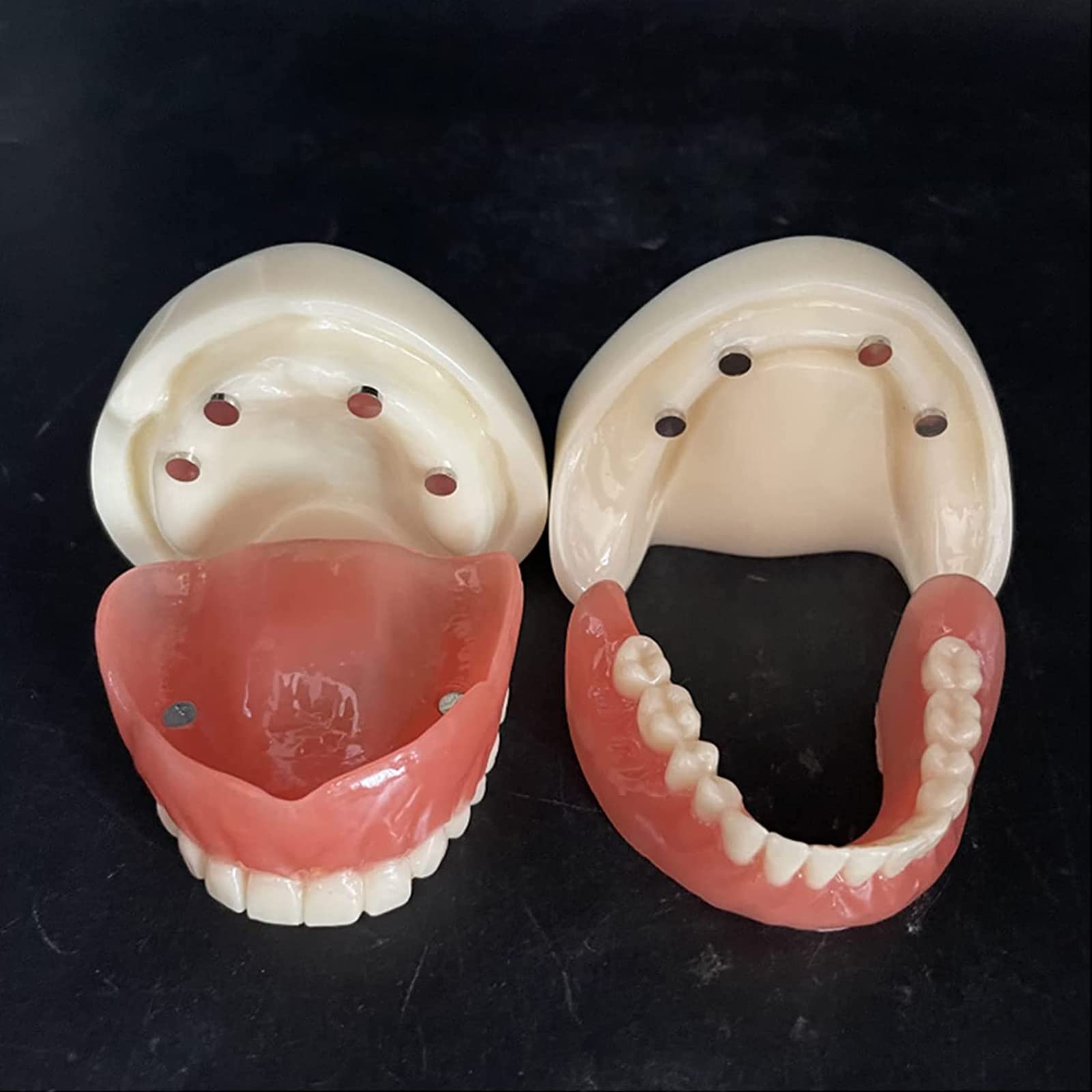 Modèle De Mâchoire Pour Pratique Dentaire - Implant Mandibule En Résine - Neuf