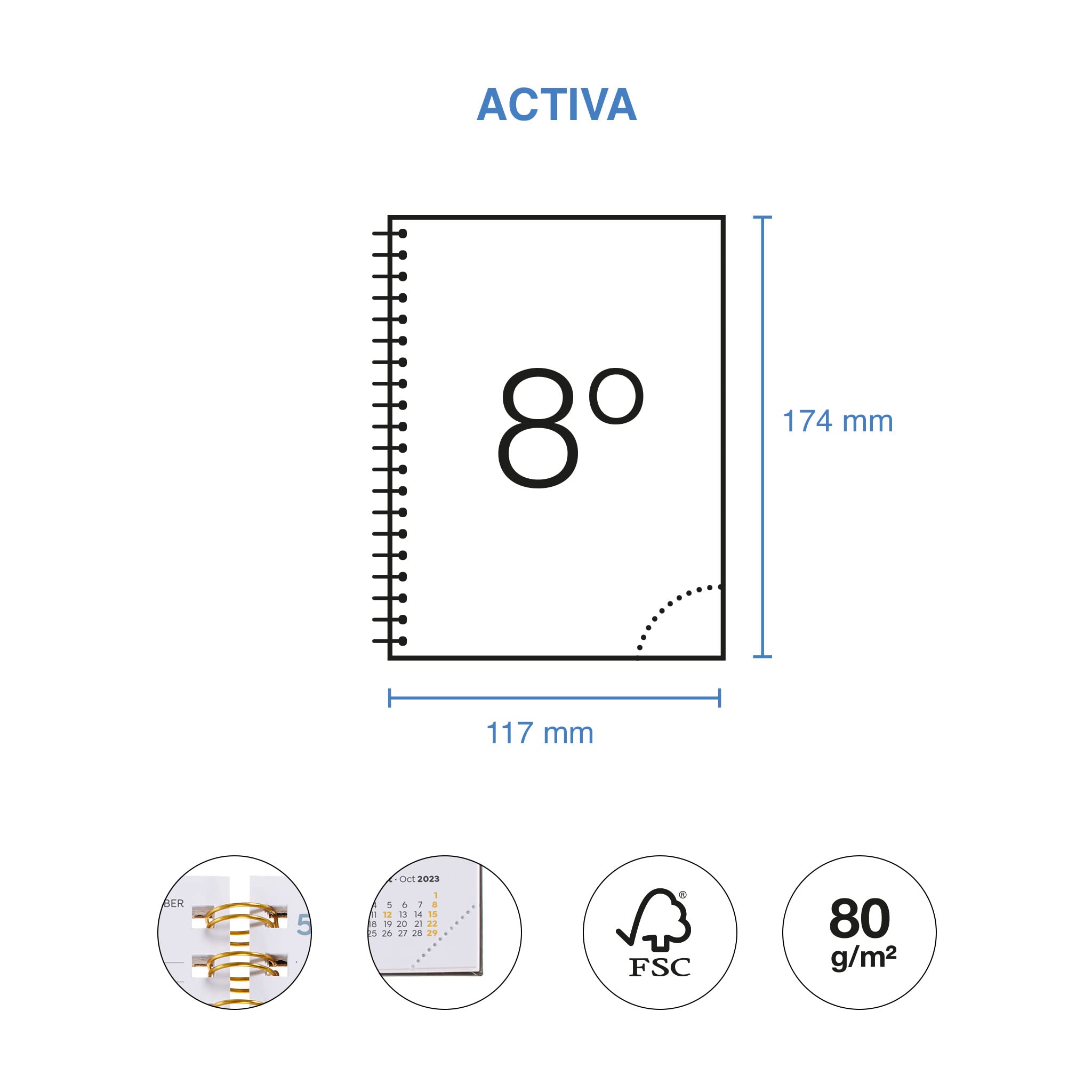 Miquelrius - School Planner 23-24, September 2023 to August 2024, 12 Months, Size 11.7 x 17.4 cm, Page, Garden, Spanish-English - Image 3