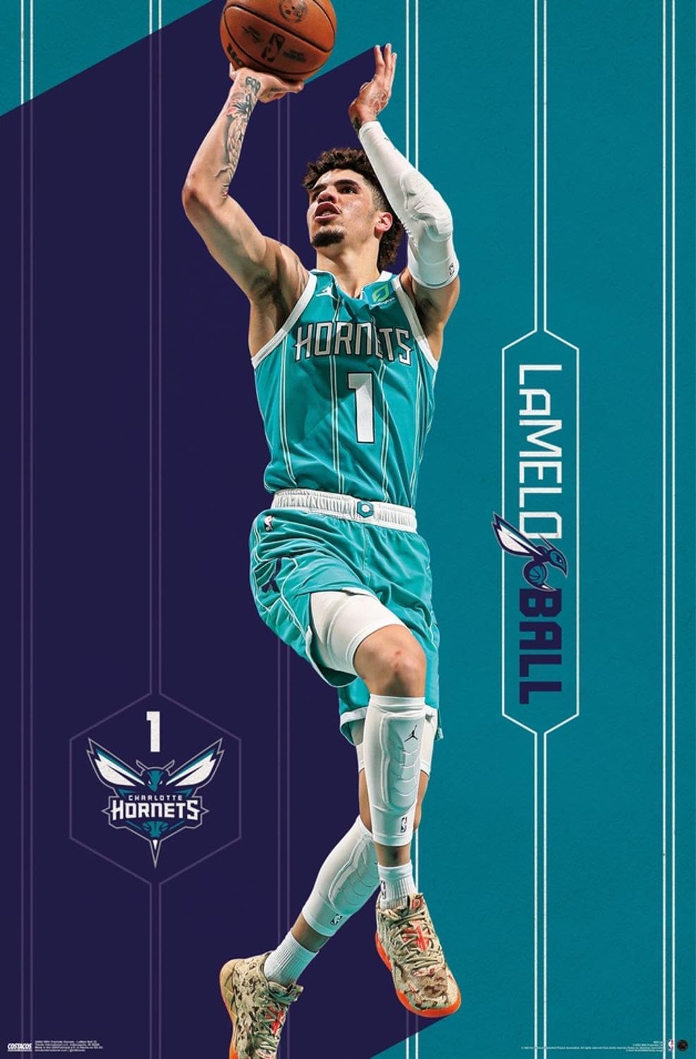 Amazon.com: Trends International NBA Charlotte Hornets - LaMelo